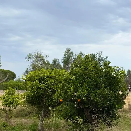 Orizzonte Holiday home *